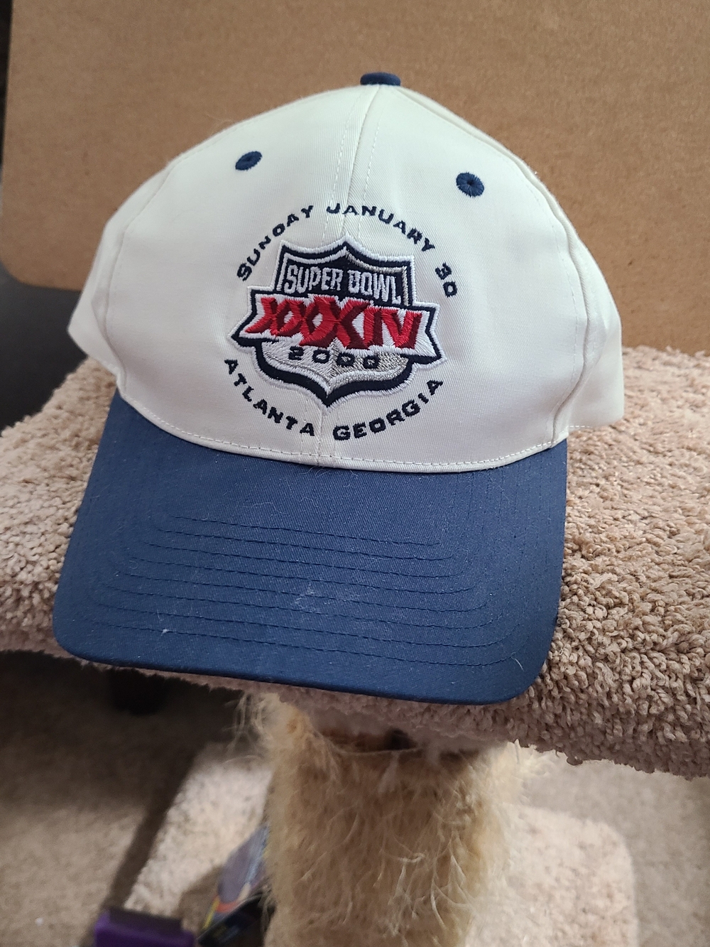 Super Bowl XXXIV 2000 Atlanta Georgia Snapback Hat Cap Vintage NFLRams